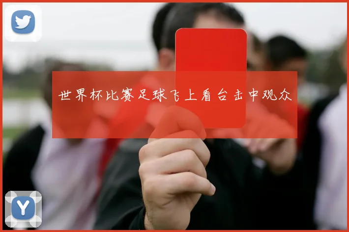 世界杯比赛足球飞上看台击中观众