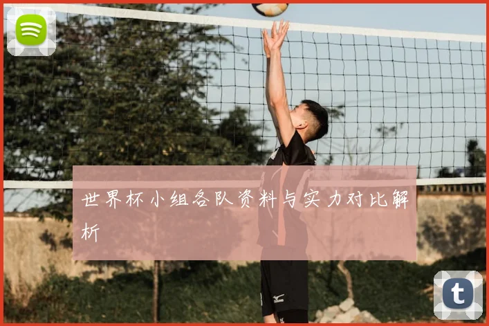 世界杯小组各队资料与实力对比解析