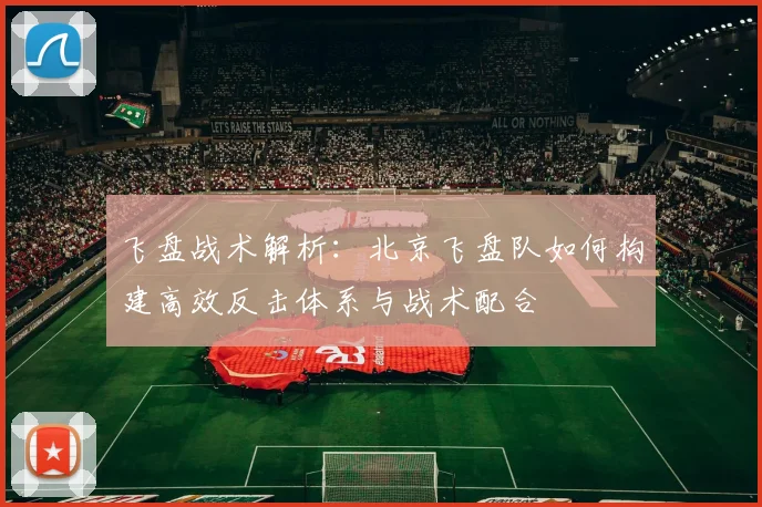 飞盘战术解析：北京飞盘队如何构建高效反击体系与战术配合