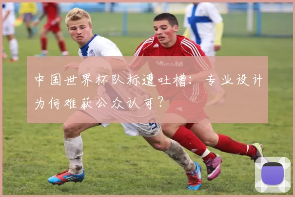 中国世界杯队标遭吐槽:专业设计为何难获公众认可?
