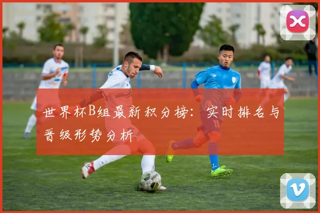 世界杯B组最新积分榜：实时排名与晋级形势分析