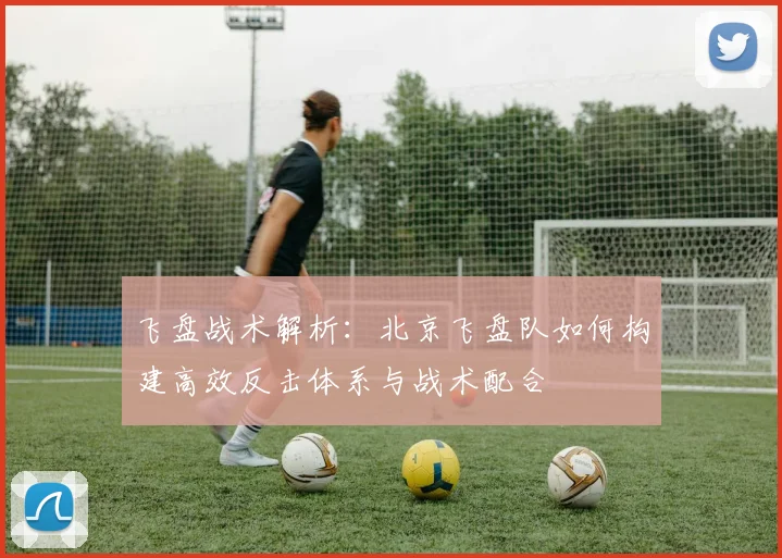 飞盘战术解析:北京飞盘队如何构建高效反击体系与战术配合