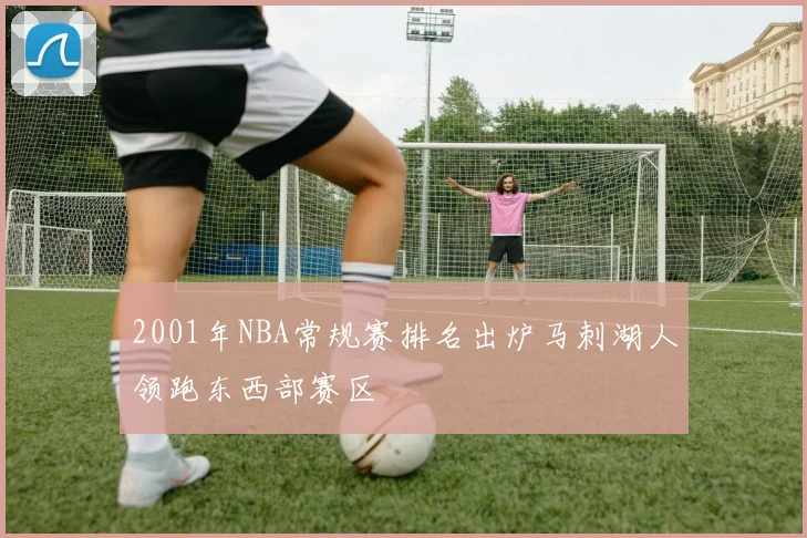 2001年NBA常规赛排名出炉马刺湖人领跑东西部赛区