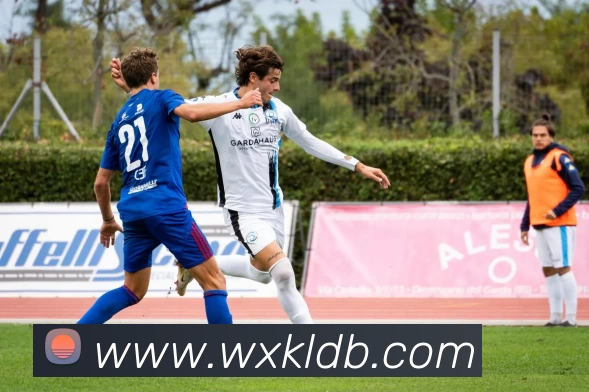 开云体育APP 封面图