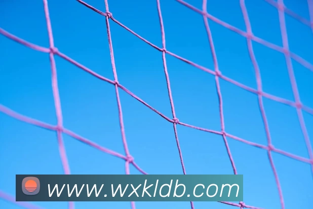 数据防护可视化